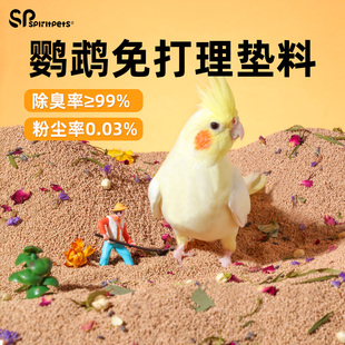 鹦鹉垫料粪便砂幼雏鸟屎沙繁殖箱鸟笼鸟窝专用玉米芯核桃砂除臭