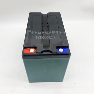 中力电动叉车电池小金刚铅酸地牛配件6 65A蓄电池12V原厂 GFM