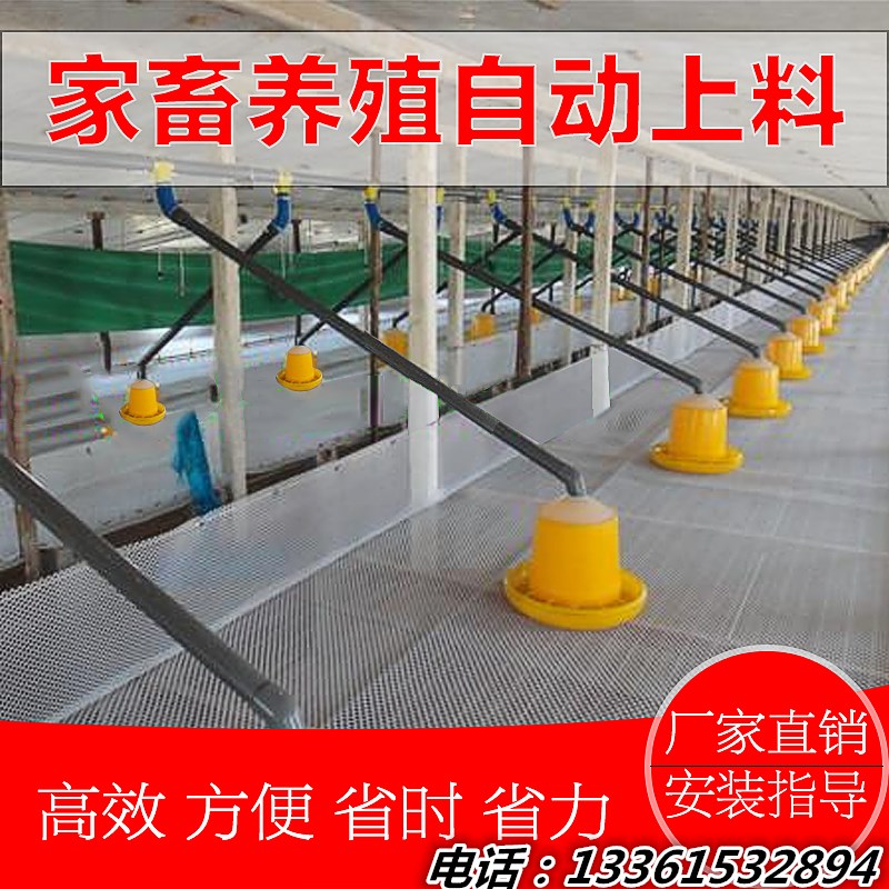 养鸡场自动喂料机料线水线全套送料喂料器鸡鸭鹅上料用自动投料机
