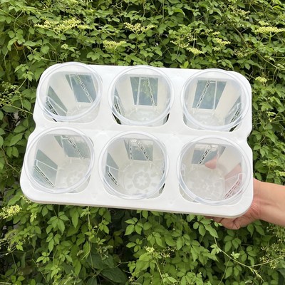 六格托架组合配12cm口径花盆透明色桌面阳台3寸杯青山花盆套盆