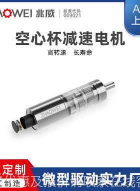 ZWSMD04242高性能流有刷直电机大扭矩 行星速齿轮箱减飞机起传动