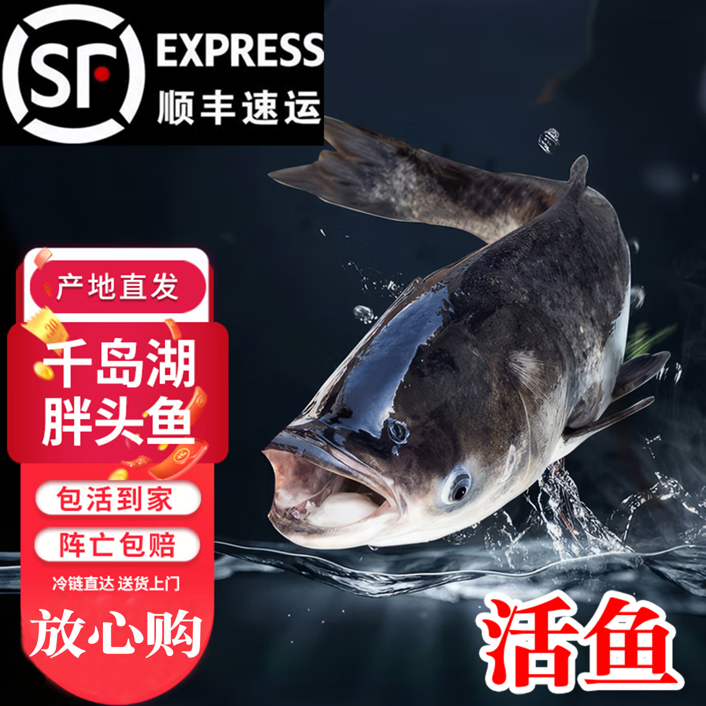 千岛湖鱼头胖头鱼花鲢鱼头鲢鳙鱼