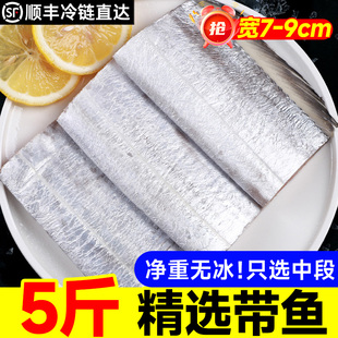 特大带鱼段无冰衣新鲜冰鲜带鱼中段深海大带鱼段5/10 斤顺丰包邮