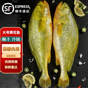 正宗大黄鱼野生深海新鲜冷冻5条黄鱼鲞黄花鱼深海鱼商用整箱包邮