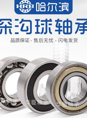 HRB哈尔滨原厂轴承6206 207 208 209 306 307 308 309ZZ2RZ深沟球
