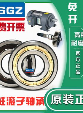 RSGZ圆柱滚子轴承NJ NU 202 203 204 205 206 207 208 209EM