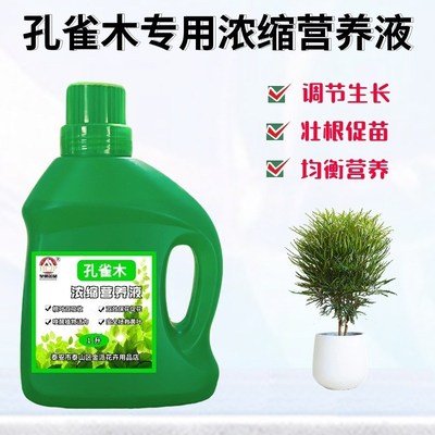 孔雀木专用浓缩营养液室内大型盆栽绿植物通用氮磷钾液体养花肥料