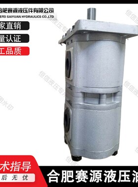 合肥赛源齿轮泵CBQL-E563/F520 E563/F525 E563/F532-CFPR 双联泵