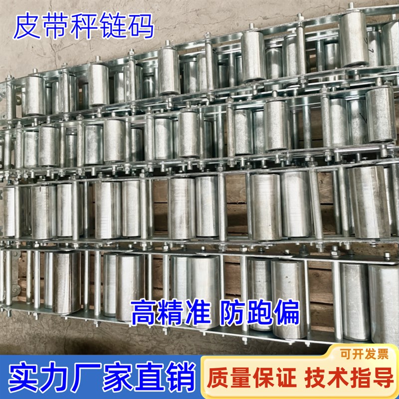 专业电子皮带秤链码给煤机校验高精准不锈钢链条传动链