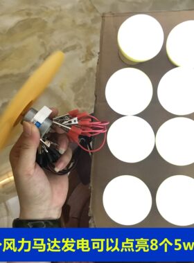 。交流微型风力发电机防水风能水能自行车机车小型迷你发