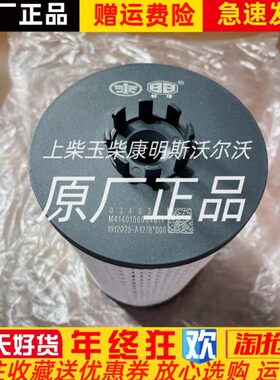 一汽解放大柴道依茨发动机长效滤芯1012025-A12/B 1012010-A12