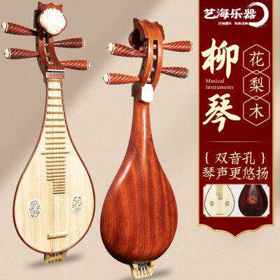 艺海柳琴乐器初学入门专业演出双音孔红木花梨木初学者初级专用琴