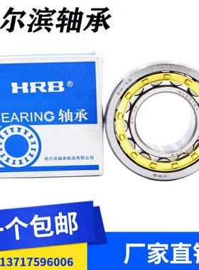 轴承轴承 精密哈尔滨轴承 N307EM/P5 D2307EH 35*80*21