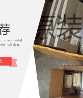 德国FESTO 分气块 MS6-FRM-1/2 529853 MS6-FRM-1/4 529857 现货