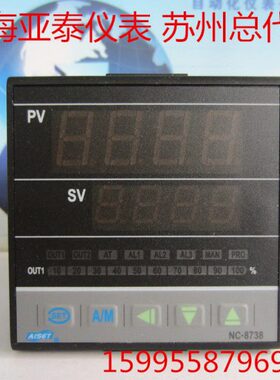 AISET上海亚泰仪表有限公司NC-8738温控仪NC-8738-101-100  Pt100