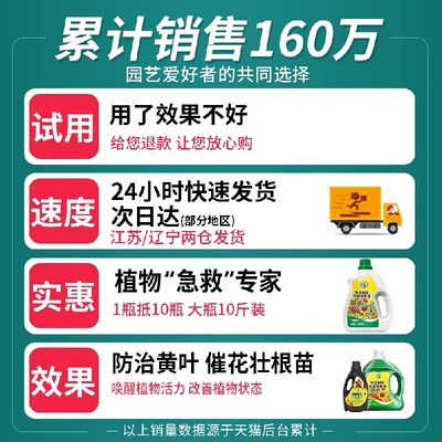 营养液植物通用型花肥发财树富贵竹绿萝水培盆栽家用花卉养花肥料