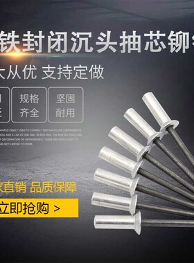 铝封闭型抽芯拉铆钉埋头3.2 4.8拉钉GB12616防水钉密封式沉头抽钉