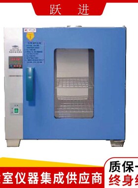 上海跃进HDPN--256电热恒温培养箱(数码管显示)