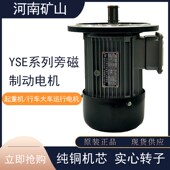 河南矿山软启动电机YSE802 0.8KW起重机天车运行大车行走电机