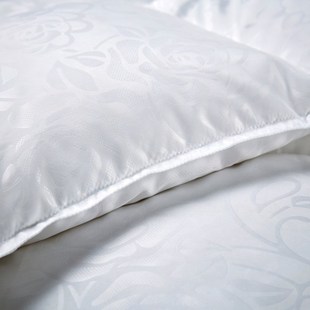 奥力福95白鹅绒加厚羽绒被子春夏秋冬四季 保暖鹅绒单双人被芯