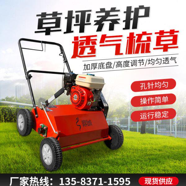 草皮坪梳草机手推式草地枯草打理汽油动力杂草清除切根养护梳理机