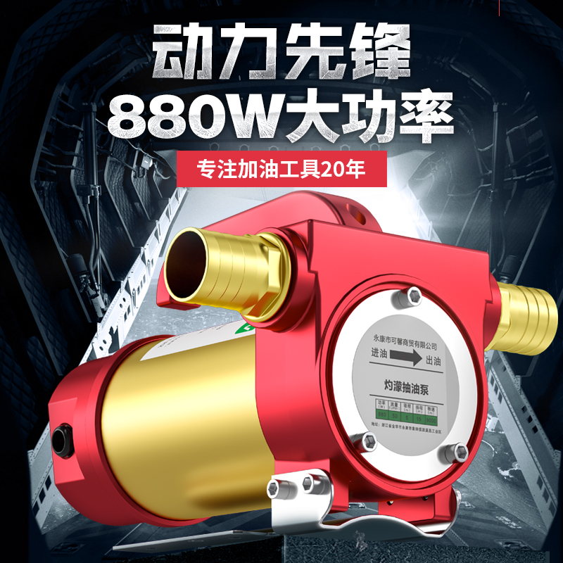 灼濛正反转自吸泵电动抽油泵12V24V220VL伏直流柴油泵加油机抽油