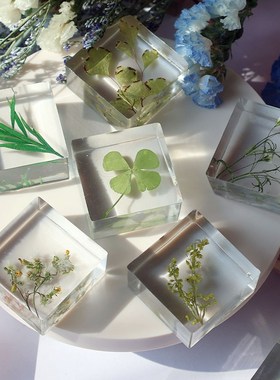 创意滴胶植物标本水晶滴胶方体A干花摆件饰品挂件礼物2颗现货成品