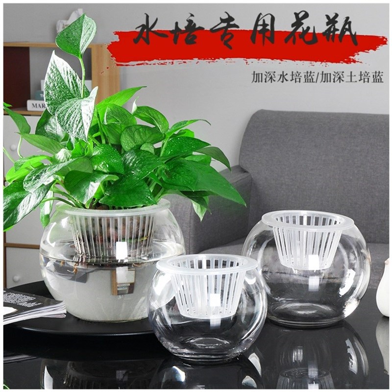 水养植物圆形摆件透明。绿萝水培容器花瓶鱼缸玻璃水缸养花一体