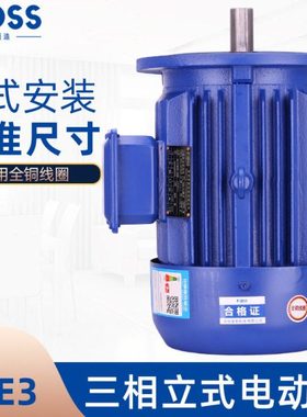 普斯立式三相异步电机铜芯电动机380vB5搅拌速机泥浆泵马达