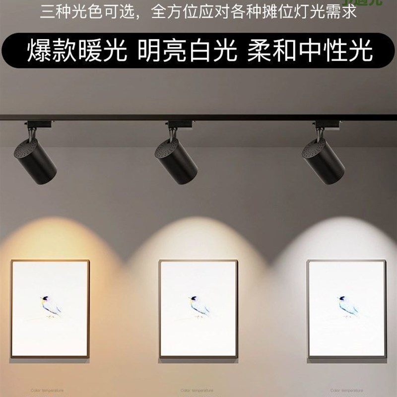 12V低压led夜市摆摊射灯60伏72V三轮车电瓶小吃餐车专用卤菜射灯