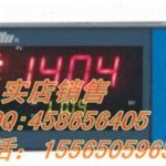 东辉仪表:DY2000(D)多路巡检仪DY21D0208 / DY29D1016