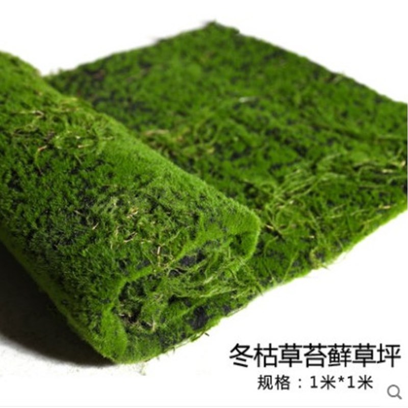 仿真植物墙青苔草皮人工草坪绿色地毯垫子室内墙面橱窗装饰假苔藓