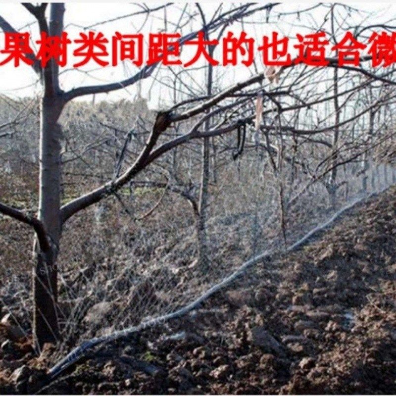 微喷灌溉管农用滴灌带带喷水带喷灌带带滴灌寸寸设备农田灌溉