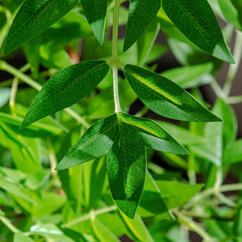 加密南天竹仿真绿植物客厅轻奢高端落地盆栽仿生假花假树装饰摆件
