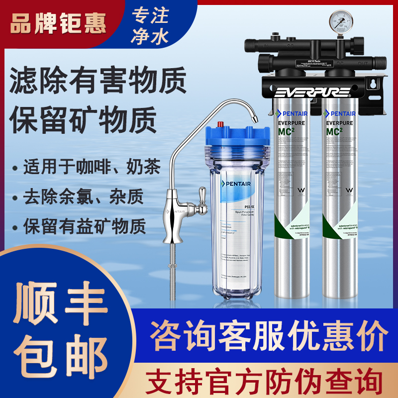 爱惠浦MC2双联净水器商用奶茶咖啡店专用大流量覆合直饮水机过滤