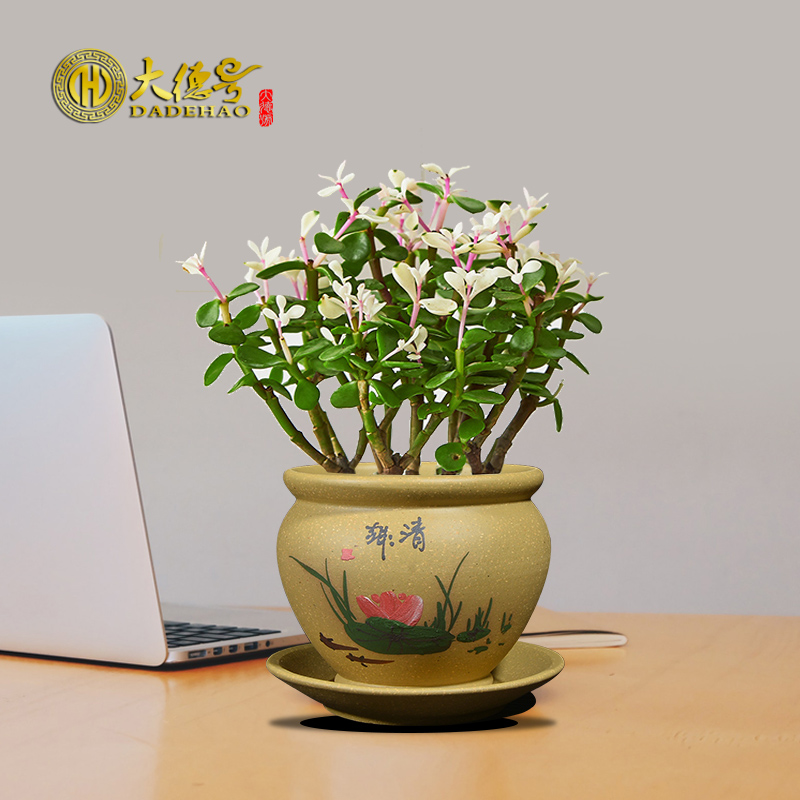 多肉花盆 无孔水培铜钱草文竹办公桌专用 宜兴陶瓷紫砂花盆带托盘