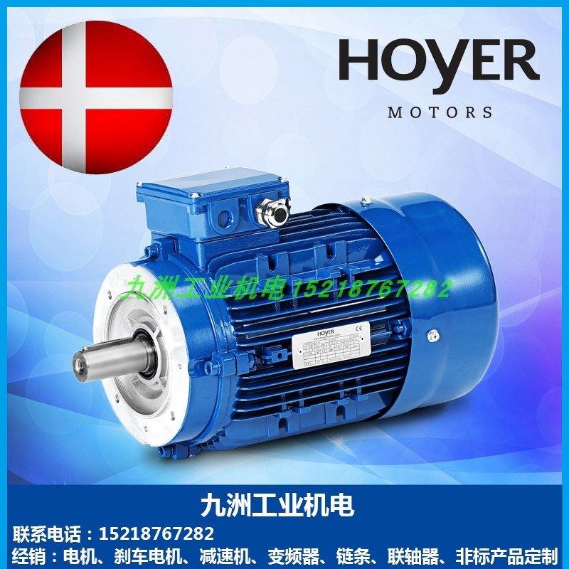 霍尔HOYER电机MS5624 7124 8024 90L4 100L4 112M4 132M4马达 4极