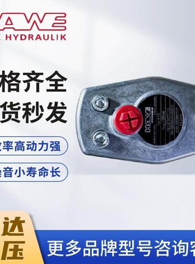 包邮德国HAWE哈威柱塞泵R1.0;R1.4;R2.5A;R3.6;R5.6A五金门油泵