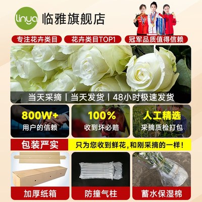 骄傲白玫瑰鲜花花束云南基地直发纯白鲜切花家用插花水养真花多头