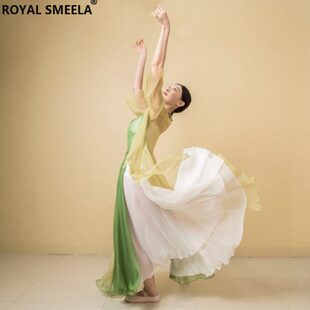 套装 古典舞蹈服装 女飘逸汉古风纱衣练功服中国舞大摆裙表演出新款