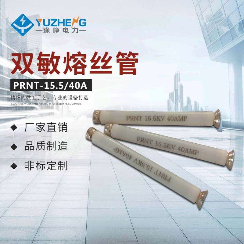 油浸式美式变压器保护后备熔断器 PRNT-15.5KV底座 ZGR3