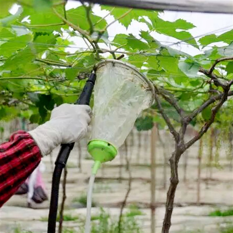 葡萄膨果拉穗h器漏斗回流式葡萄沾药喷头葡萄蘸药器环形喷药器