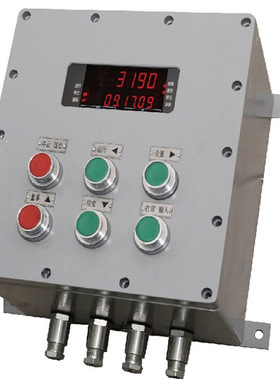 耀华防爆仪表XK3190-Ex-C8G 隔爆型称重显示器RS485输出防爆仪表