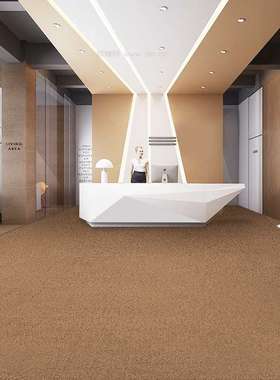 地毯办公室灰色整卷满铺公司商用纯色整铺大面积酒店工程走廊房间