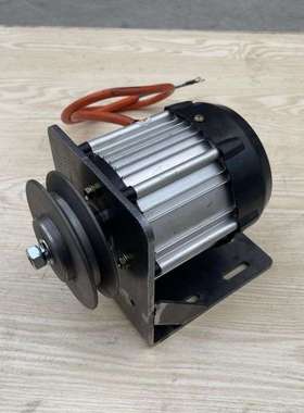 低速12V24V48伏60伏72伏84V96V2000瓦W直流发电机永磁无刷线