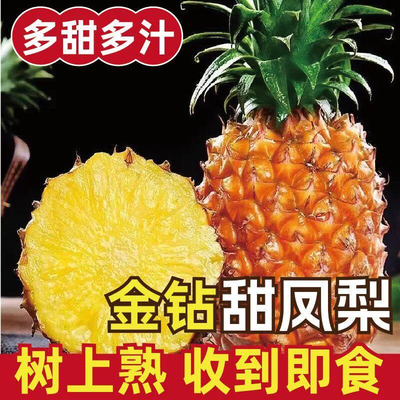 新鲜正宗海南金钻凤梨大果水果热带手撕无眼整箱菠萝现摘当季风梨