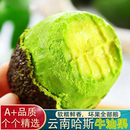 云南哈斯牛油果新鲜水果鳄梨国产当季 一级即食整箱