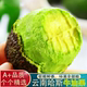 云南哈斯牛油果新鲜水果鳄梨国产当季 一级即食整箱