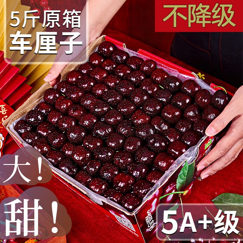 【5J级原箱未拆封】智利进口车厘子新鲜包邮5斤礼盒当季整箱空运
