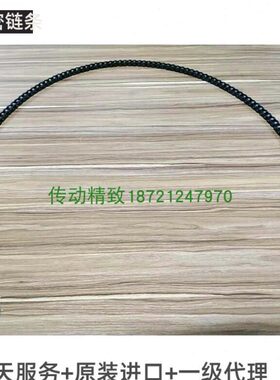 台湾TYC进口侧弯链条转弯机链条40SB 50SB  60SB80SB不锈钢侧弯链